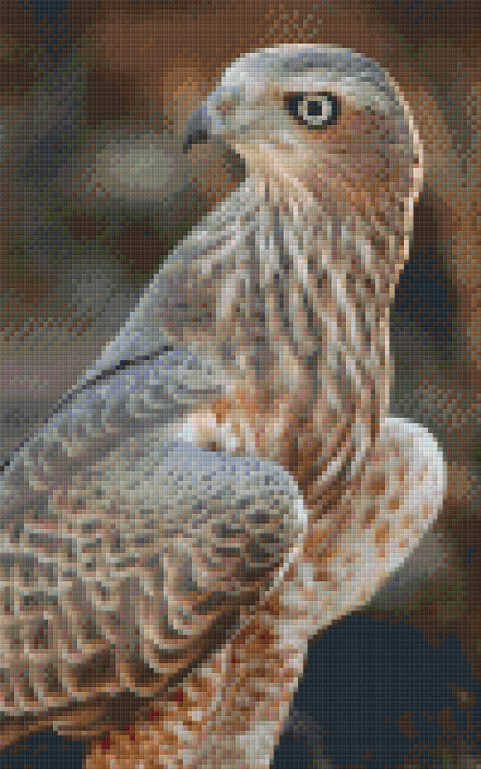 Falcoln Eight [8] Baseplate PixelHobby Mini-mosaic Art Kit
